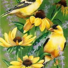 Cross stitch pattern: #2155089