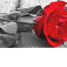 Cross stitch pattern: #2155755