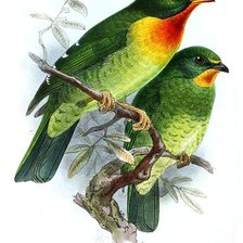 Cross stitch pattern: #2156052