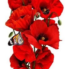 Cross stitch pattern: #2156240