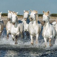 Cross stitch pattern: #2156360