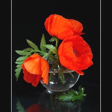 Cross stitch pattern: #2157513