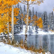 Cross stitch pattern: #2157576