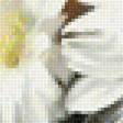 Preview of cross stitch pattern: #2157629