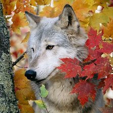 Cross stitch pattern: #2158345