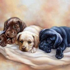 Cross stitch pattern: #2158605