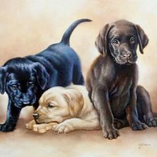 Cross stitch pattern: #2158606