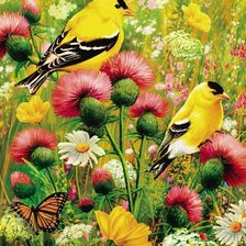 Cross stitch pattern: #2158865