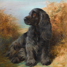 Cross stitch pattern: #2158877