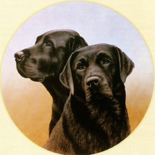 Cross stitch pattern: #2158889