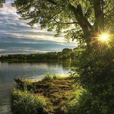 Cross stitch pattern: #2159663