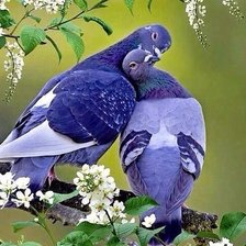 Cross stitch pattern: #2159686