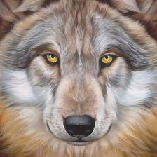 Cross stitch pattern: #2160111