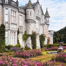 Cross stitch pattern: #2160155