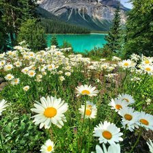 Cross stitch pattern: #2160167