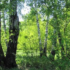 Cross stitch pattern: #2160171