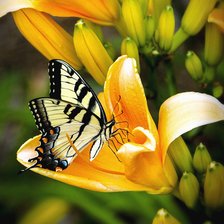 Cross stitch pattern: #2160226