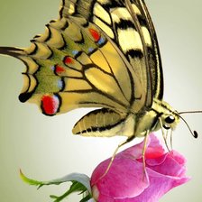 Cross stitch pattern: #2160228