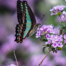 Cross stitch pattern: #2160229