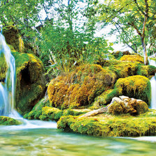 Cross stitch pattern: #2160696