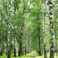 Cross stitch pattern: #2160710