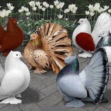 Cross stitch pattern: #2161362