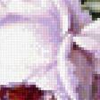 Preview of cross stitch pattern: #2161401