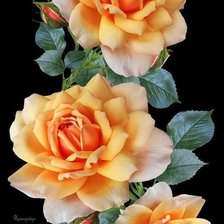 Cross stitch pattern: #2161783