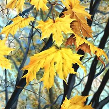 Cross stitch pattern: #2161837