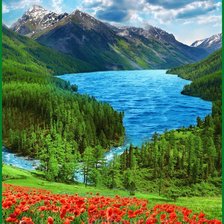 Cross stitch pattern: #2161941
