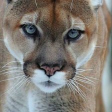 Cross stitch pattern: #2162275