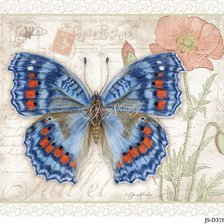 Cross stitch pattern: #2163586