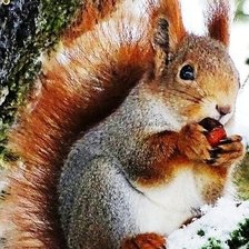 Cross stitch pattern: #2163675