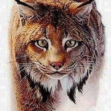 Cross stitch pattern: #2163735