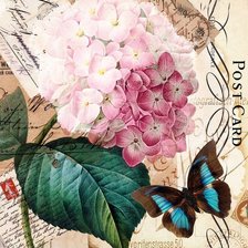 Cross stitch pattern: #2164363