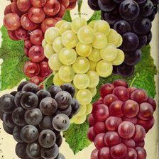 Cross stitch pattern: #2164364