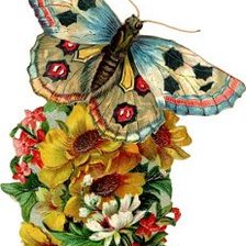 Cross stitch pattern: #2164372