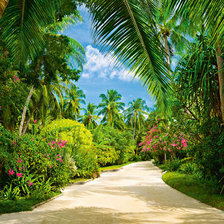 Cross stitch pattern: #2165280