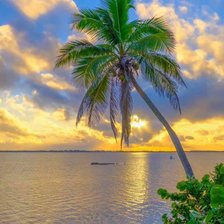 Cross stitch pattern: #2165285