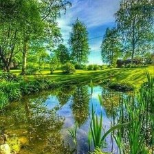 Cross stitch pattern: #2165288