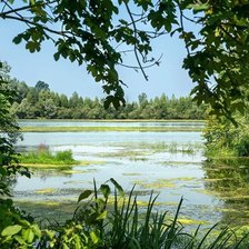 Cross stitch pattern: #2165290