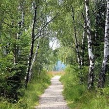 Cross stitch pattern: #2165299