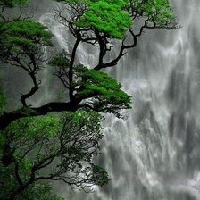 Cross stitch pattern: #2165300