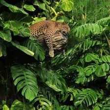 Cross stitch pattern: #2165301