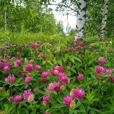 Cross stitch pattern: #2165303