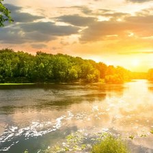 Cross stitch pattern: #2165796