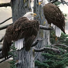 Cross stitch pattern: #2166043