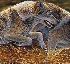 Cross stitch pattern: #2166353