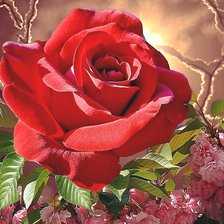 Cross stitch pattern: #2166470