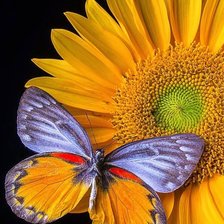 Cross stitch pattern: #2166952